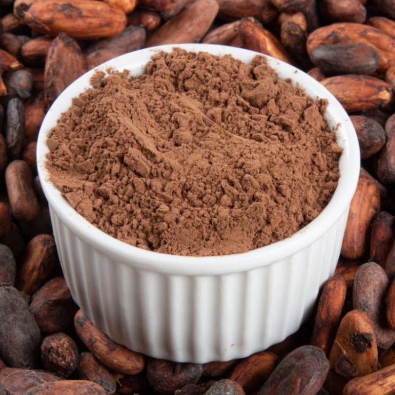 Cacao en Polvo 500g
