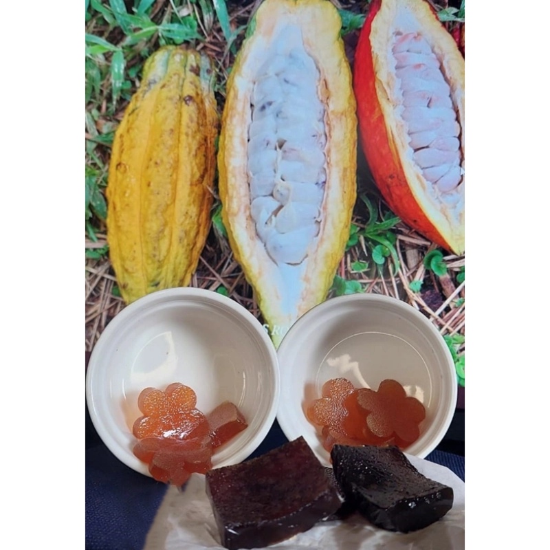 Mucílago de Cacao — Jalea